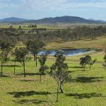 24450 Peak Downs Highway, Victoria Plains, QLD 4751 AUS