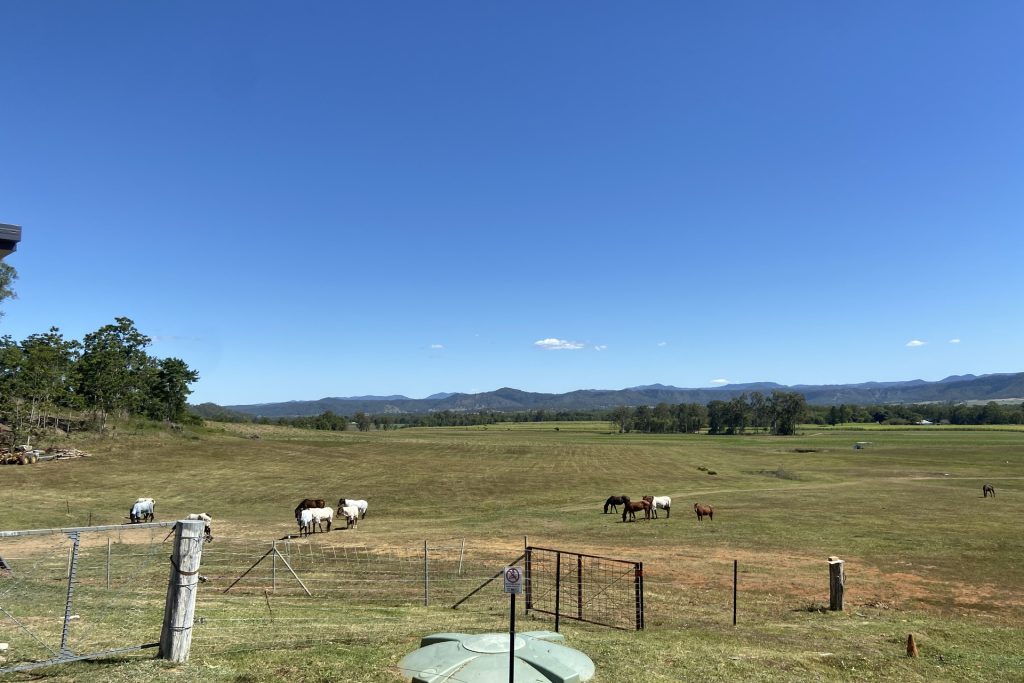 514 Owens Creek Loop Road, Owens Creek, QLD 4741 AUS