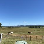 514 Owens Creek Loop Road, Owens Creek, QLD 4741 AUS