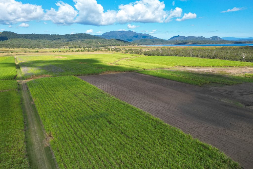 Lot 4 Marge Camerons Road, Marian, QLD 4753 AUS