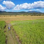 Lot 4 Marge Camerons Road, Marian, QLD 4753 AUS