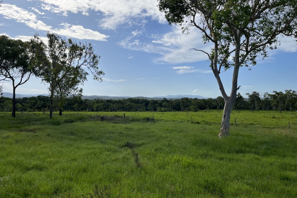 Ilbilbie, QLD 4738 AUS