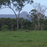 Ilbilbie, QLD 4738 AUS