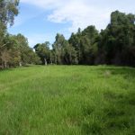 Ilbilbie, QLD 4738 AUS