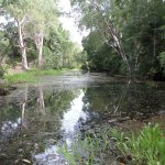 Ilbilbie, QLD 4738 AUS