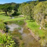 1428 Yakapari Seaforth Road, Mount Jukes, QLD 4740 AUS