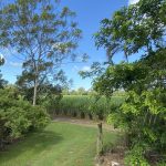 Koumala, QLD 4738 AUS