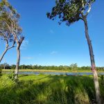 24 Turtle Point Lakeside, Laguna Quays, QLD 4800 AUS