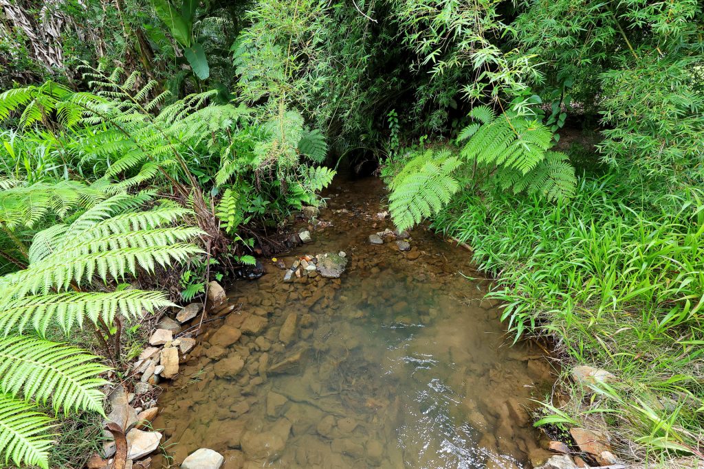 126 Watts Road, Eungella, QLD 4757 AUS