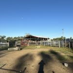 130 Bundesens Road, Yalboroo, QLD 4741 AUS