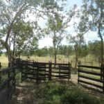 108 Paskins Rd, Yalboroo, QLD 4741 Australia