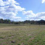 108 Paskins Rd, Yalboroo, QLD 4741 Australia