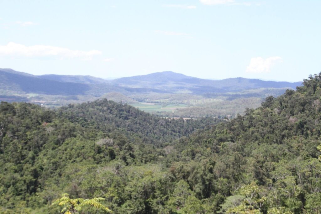 1696 Mirani-Mt Ossa Road, Mount Charlton, QLD 4741 AUS