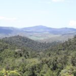 1696 Mirani-Mt Ossa Road, Mount Charlton, QLD 4741 AUS