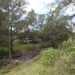 248 Middle Creek Road, Sarina, QLD 4737 AUS