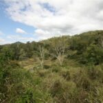 248 Middle Creek Road, Sarina, QLD 4737 AUS