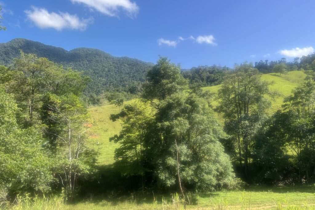 Seninis Road, Finch Hatton, QLD 4756 AUS