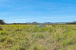 Lot 4 Llewellyn Road, Bloomsbury, QLD 4799 AUS