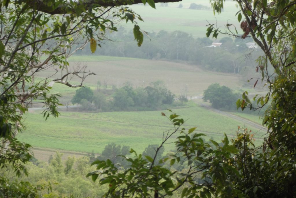 617 Devereux Creek Road, Devereux Creek, QLD 4753 AUS