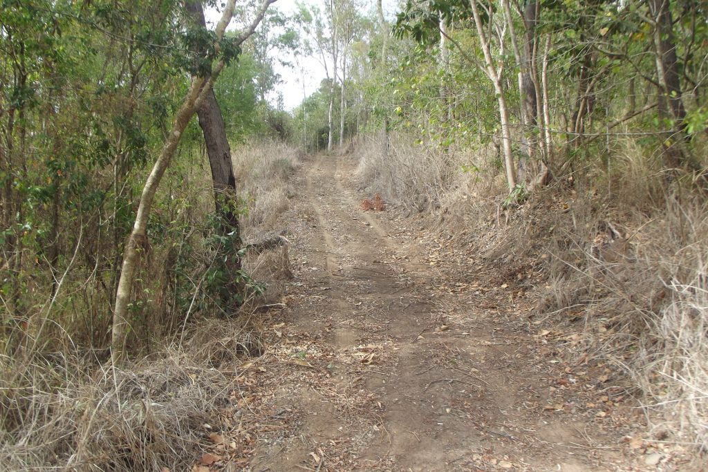 617 Devereux Creek Road, Devereux Creek, QLD 4753 AUS