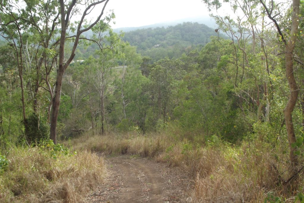 617 Devereux Creek Road, Devereux Creek, QLD 4753 AUS