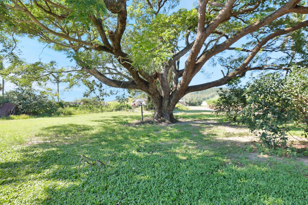 137 Nebia Coningsby Road, Farleigh, QLD 4741 AUS