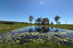 Lot 3 Marion Settlement Road, Ilbilbie, QLD 4738 AUS