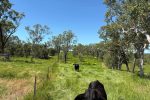 Lot 3 Marion Settlement Road, Ilbilbie, QLD 4738 AUS