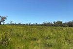 Lot 3 Marion Settlement Road, Ilbilbie, QLD 4738 AUS