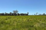 Lot 3 Marion Settlement Road, Ilbilbie, QLD 4738 AUS