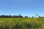 Lot 3 Marion Settlement Road, Ilbilbie, QLD 4738 AUS