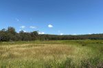 Lot 3 Marion Settlement Road, Ilbilbie, QLD 4738 AUS