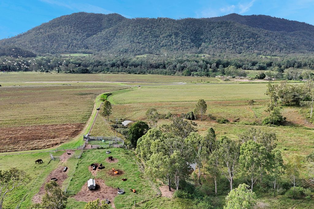 8 Pinevale Road, Pinevale, QLD 4754 AUS