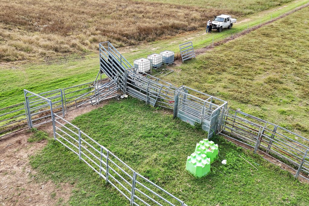 8 Pinevale Road, Pinevale, QLD 4754 AUS