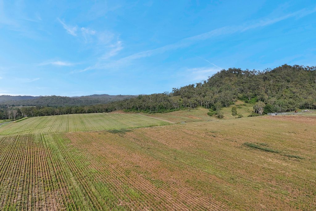 8 Pinevale Road, Pinevale, QLD 4754 AUS