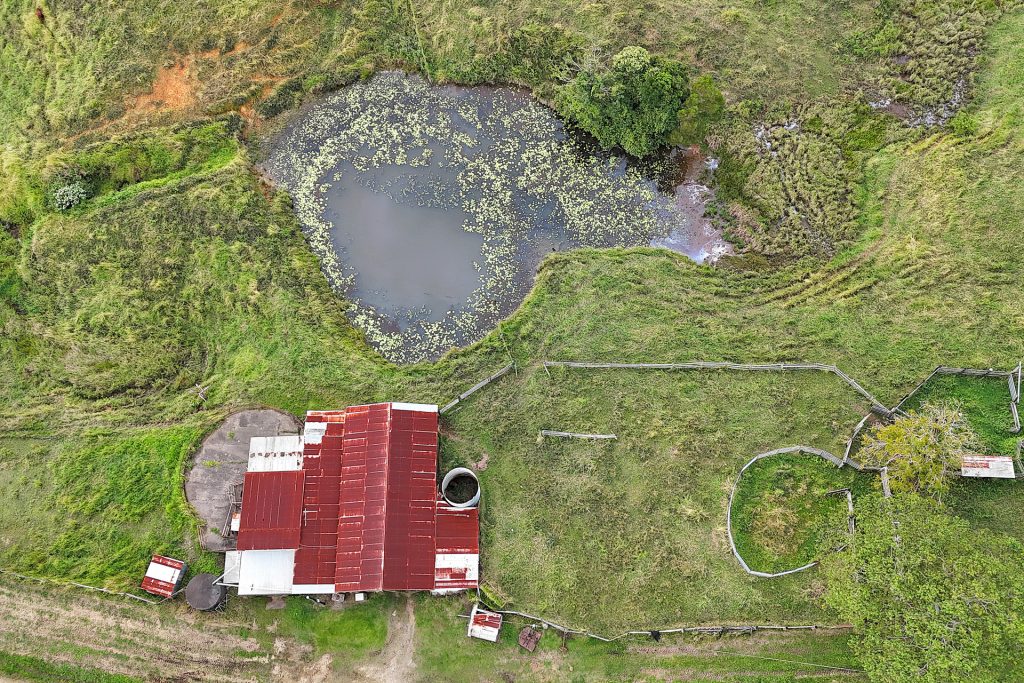 254 Bee Creek Road, Eungella, QLD 4757 AUS