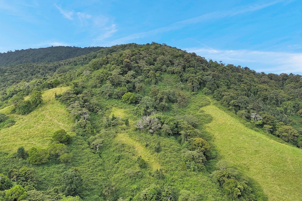 254 Bee Creek Road, Eungella, QLD 4757 AUS