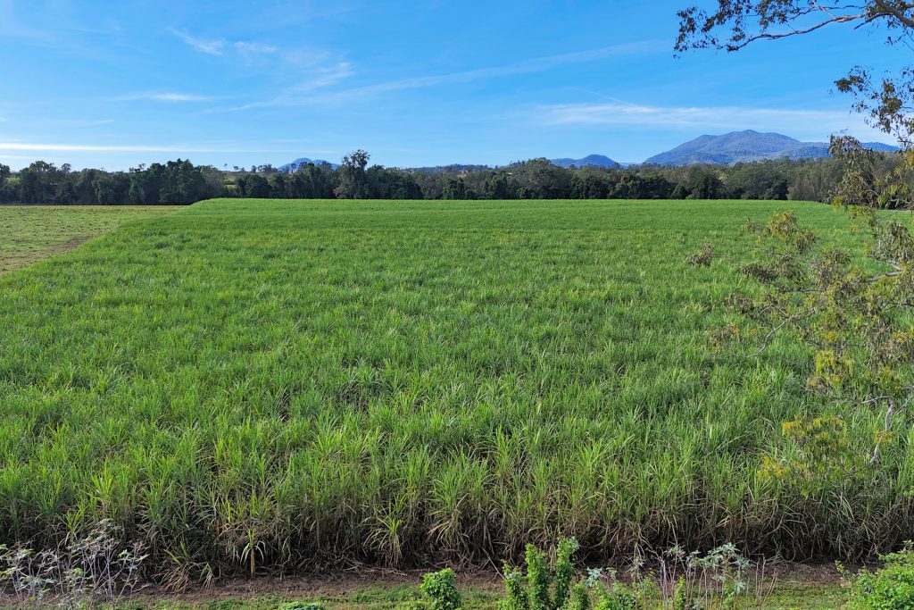 151 R Watts Road, Benholme, QLD 4754 AUS