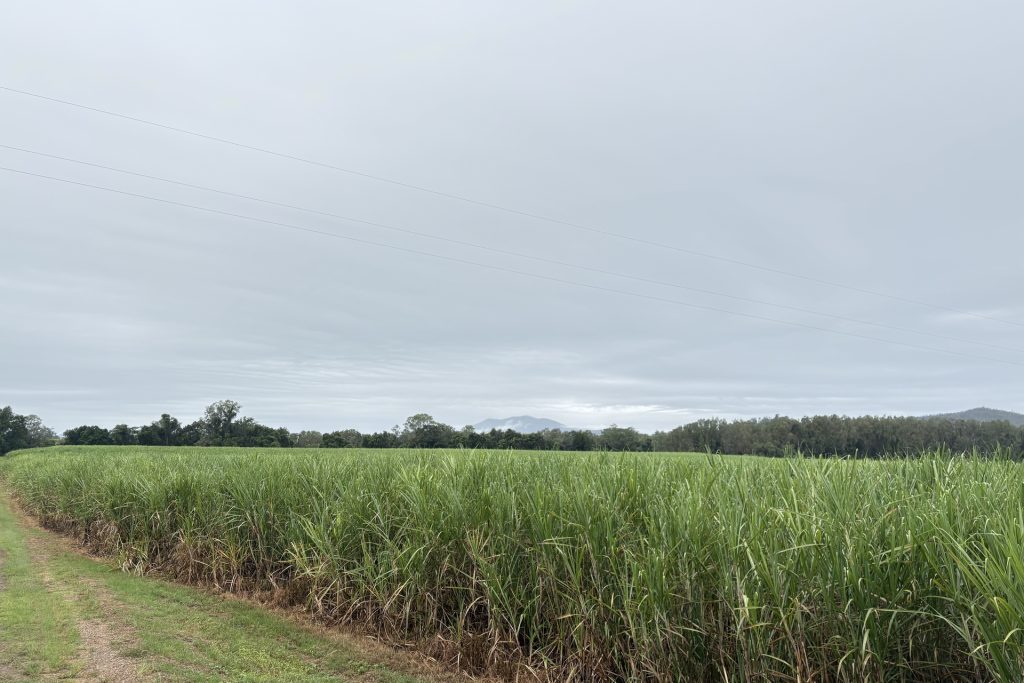 151 R Watts Road, Benholme, QLD 4754 AUS