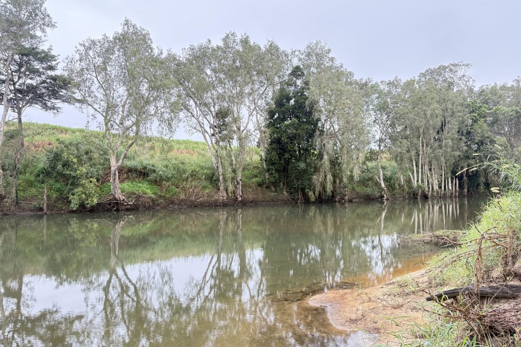 151 R Watts Road, Benholme, QLD 4754 AUS