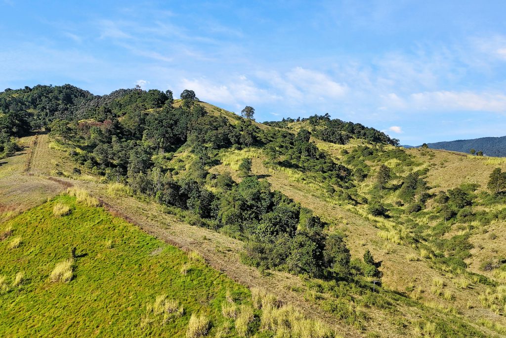 337 Cathu O'connell River Road, Yalboroo, QLD 4741 AUS