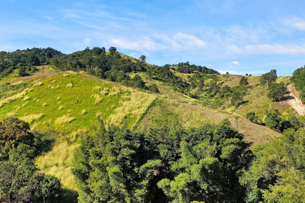 337 Cathu O'connell River Road, Yalboroo, QLD 4741 AUS