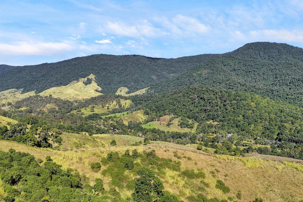 337 Cathu O'connell River Road, Yalboroo, QLD 4741 AUS