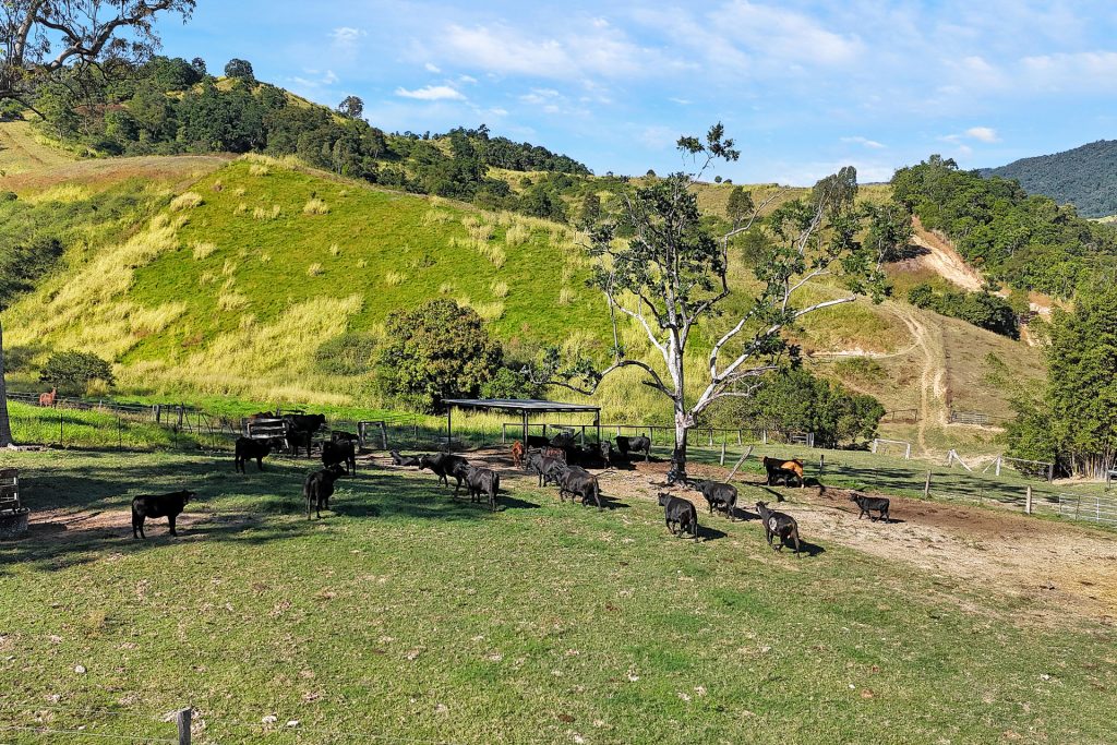 337 Cathu O'connell River Road, Yalboroo, QLD 4741 AUS