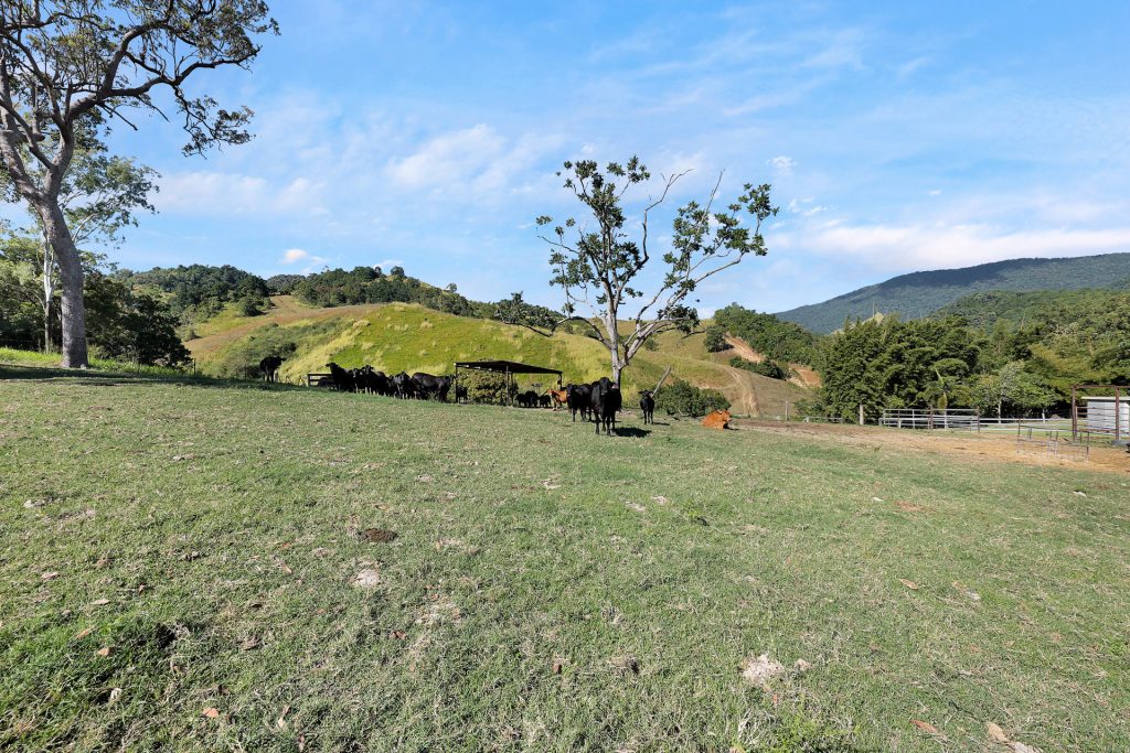 337 Cathu O'connell River Road, Yalboroo, QLD 4741 AUS