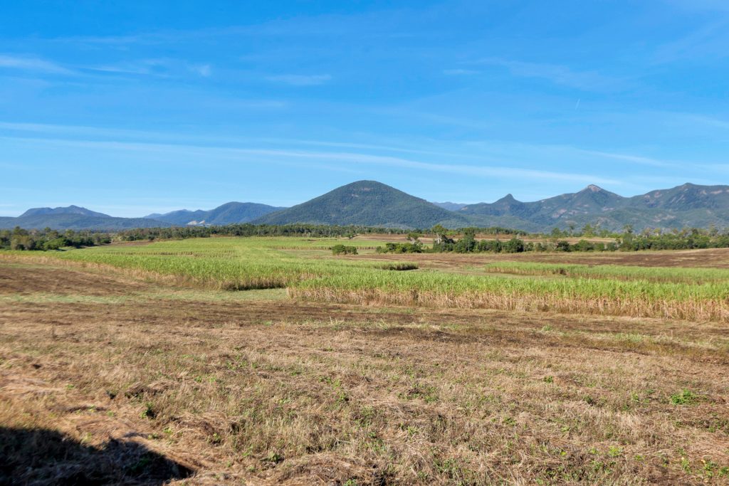 Lot 21 241 Wintons Road, Yalboroo, QLD 4741 AUS