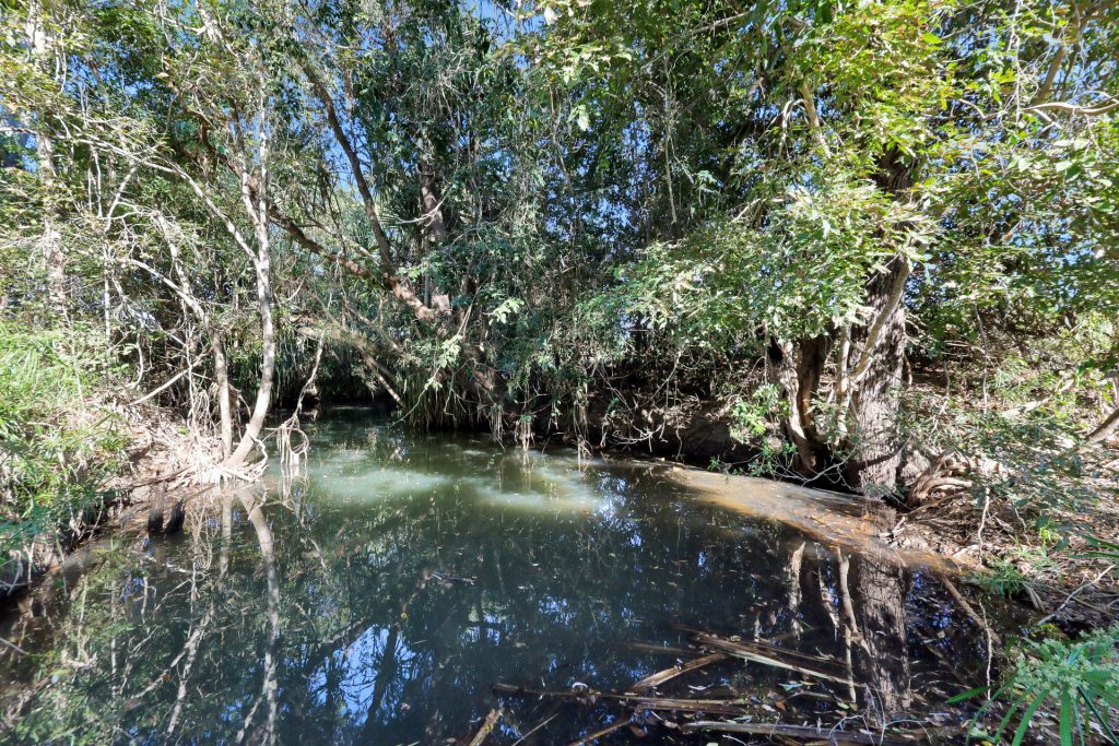 Lot 21 241 Wintons Road, Yalboroo, QLD 4741 AUS