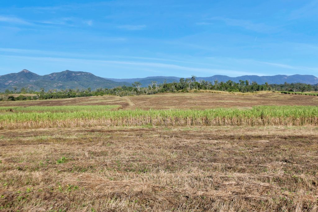 Lot 21 241 Wintons Road, Yalboroo, QLD 4741 AUS