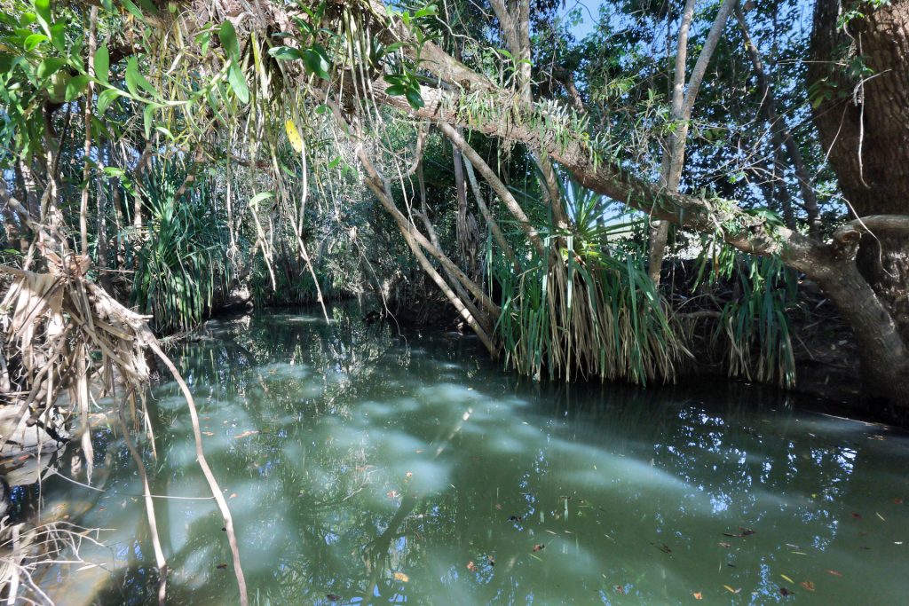 Lot 21 241 Wintons Road, Yalboroo, QLD 4741 AUS