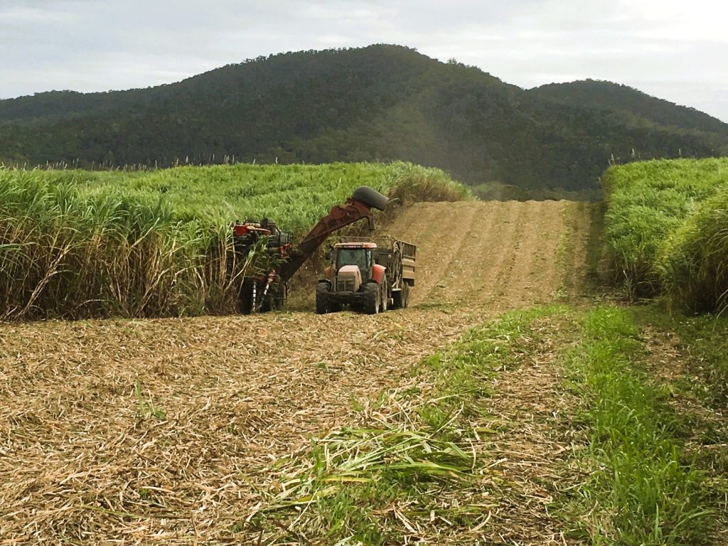 Lot 21 241 Wintons Road, Yalboroo, QLD 4741 AUS